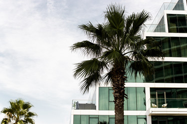 Similar image 22028618