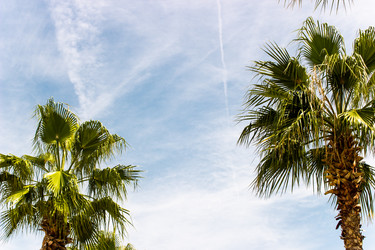 Similar image 22028621