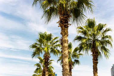 Similar image 22028622