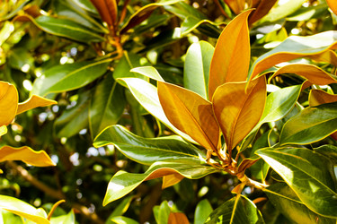 Similar image 22028623