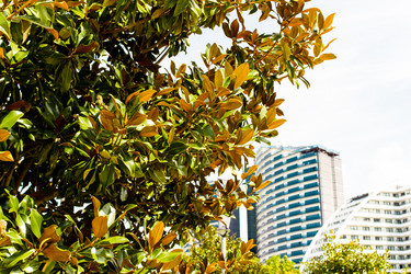 Similar image 22028624