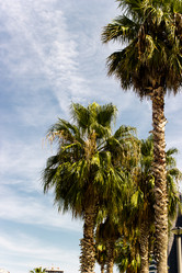 Similar image 22028626