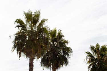 Similar image 22028627