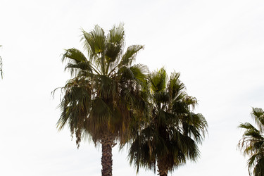 Similar image 22028628