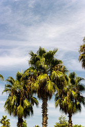 Similar image 22028629