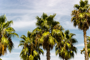 Similar image 22028630