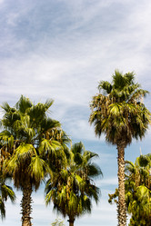 Similar image 22028631