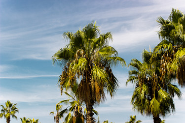 Similar image 22028632