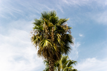 Similar image 22028633