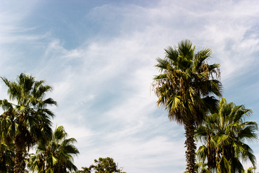 Similar image 22028634