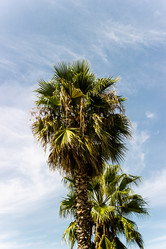 Similar image 22028635