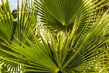 Similar image 22028636