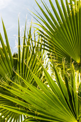 Similar image 22028637