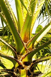 Similar image 22028638