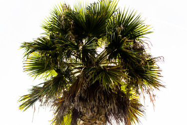 Similar image 22028639