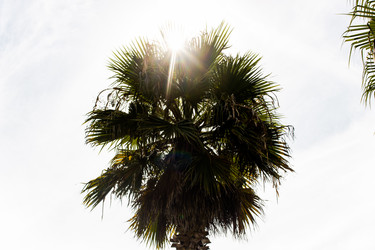 Similar image 22028640