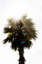 Similar image 22028641