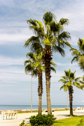 Similar image 22028642