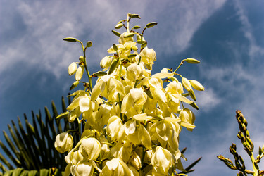 Similar image 22028648