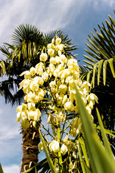 Similar image 22028650