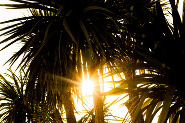 Similar image 22028653