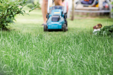 Similar image 22025539