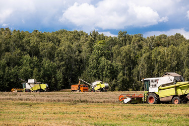 Similar image 22025540