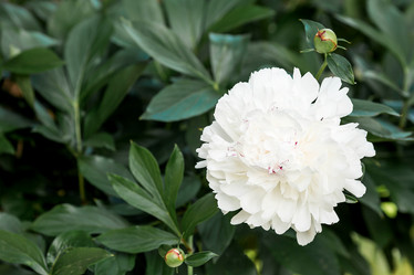 Similar image 22025547