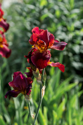 Similar image 22025549