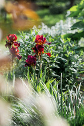 Similar image 22025551