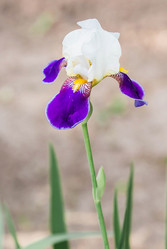 Similar image 22025553