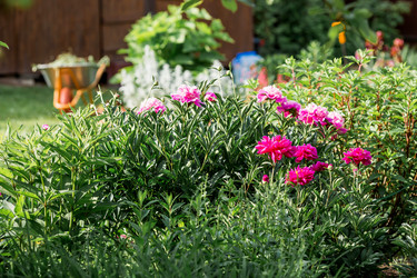 Similar image 22025557