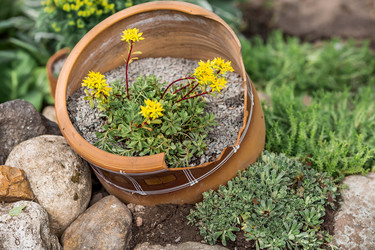 Similar image 22025727