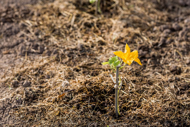 Similar image 22025730