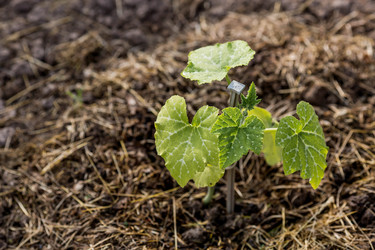 Similar image 22025731