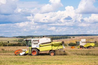 Similar image 22025733