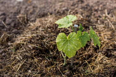 Similar image 22025734