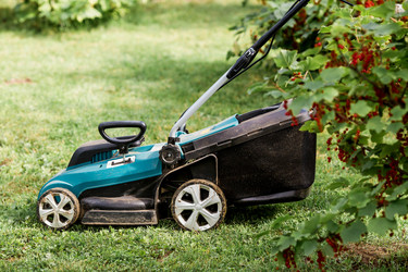 Similar image 22025735