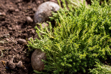 Similar image 22025738