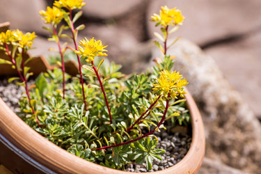 Similar image 22025739