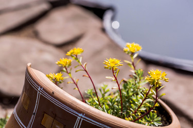 Similar image 22025740