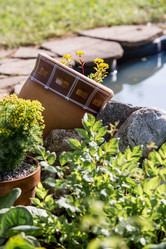 Similar image 22025741