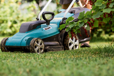 Similar image 22025744