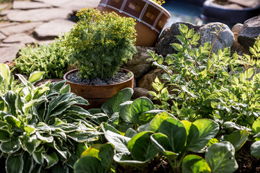 Similar image 22025843