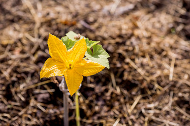 Similar image 22025844