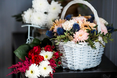 Similar image 22027884