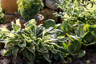 Similar image 22027886