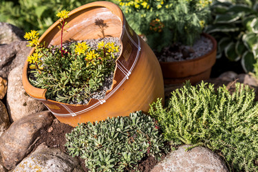 Similar image 22027904