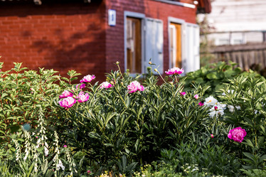 Similar image 22027910