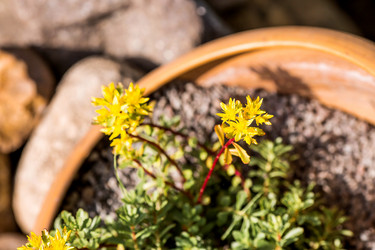 Similar image 22027912